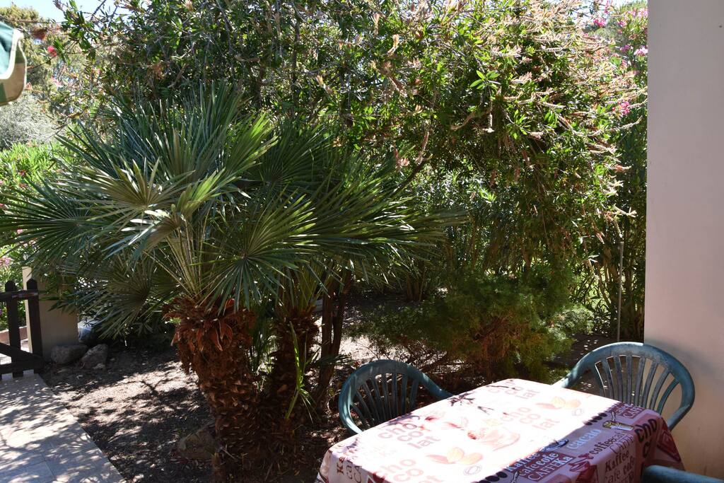 Esterno e Giardino