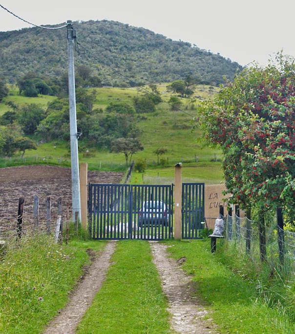 Gate