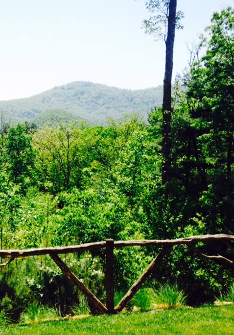 Property surrounded by a lush forest