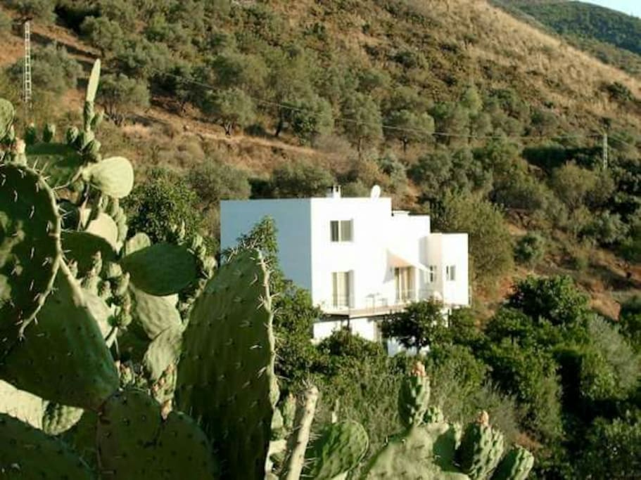zona norte,en la cual se encuentra el apartamento para los huéspedes