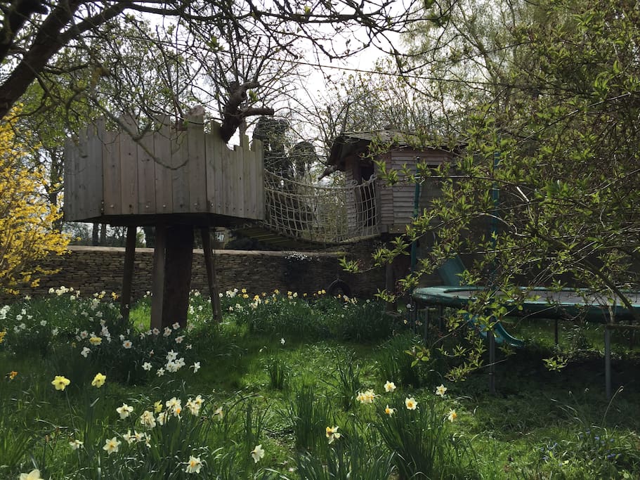 tree house and trampoline