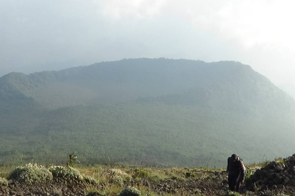 Volcano Hiking in Virunga Masif