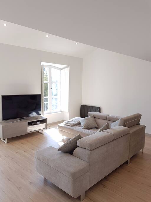 Living Room & Sofa