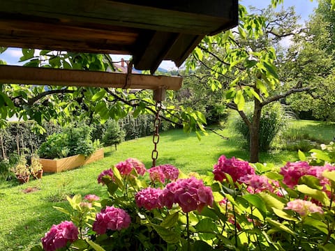 Castle&Garden view 
*Sauna*
 Yoga studio*
Garden1