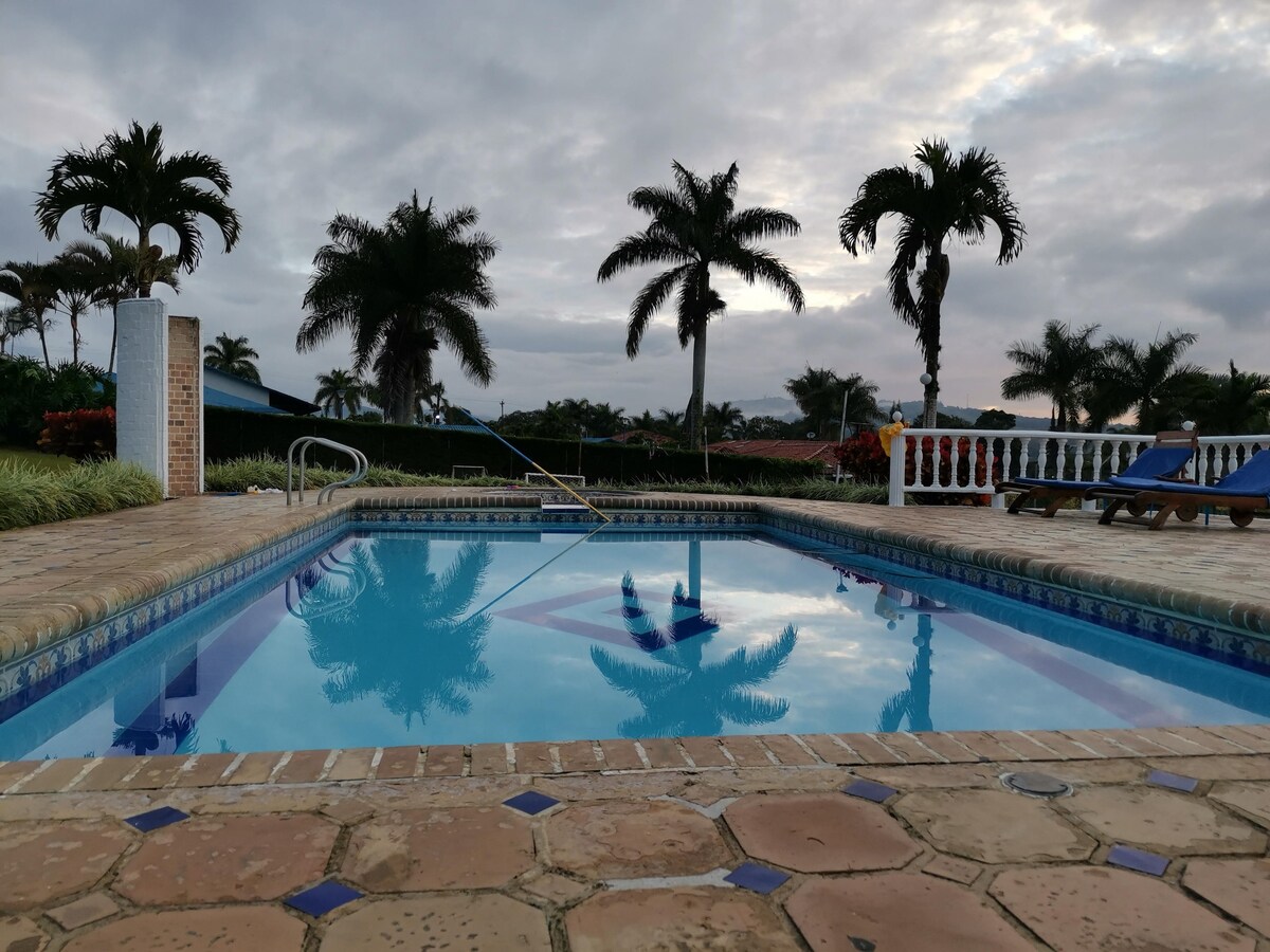 A crystal-clear swimming pool is framed by lush palm trees, reflecting the cloudy sky above. Surrounding areas feature tiled decking and lounge chairs, providing a spacious environment for relaxation. The tranquil atmosphere invites guests to enjoy the serene outdoor setting.