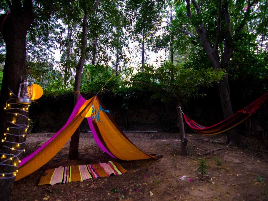 Laze around on the hammocks like a hippie