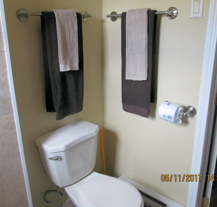 Newly renovated bathroom