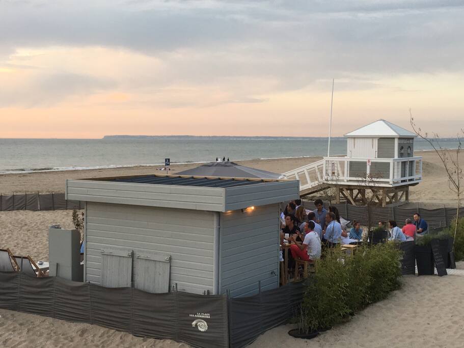 our beach closest bar and terrace