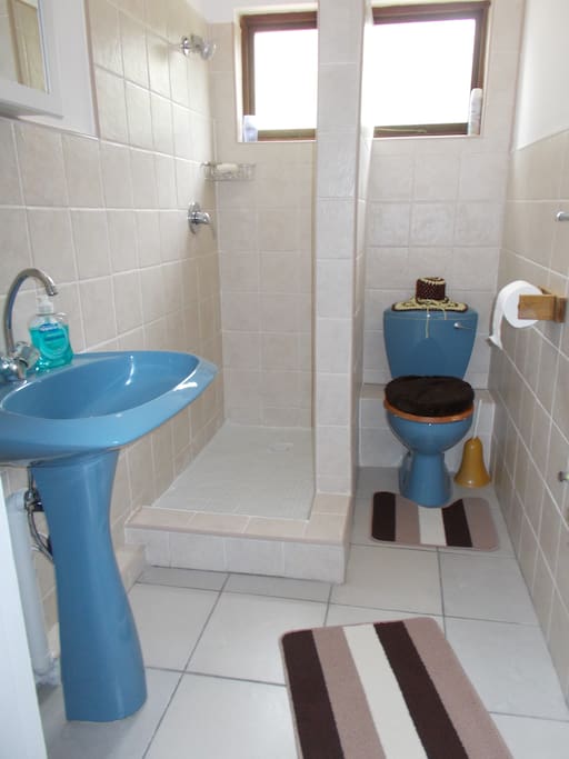 Shower, toilet, basin.