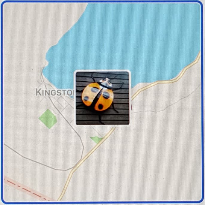 Ladybird Landing, 82 Dorset Street, Kingston, Otago