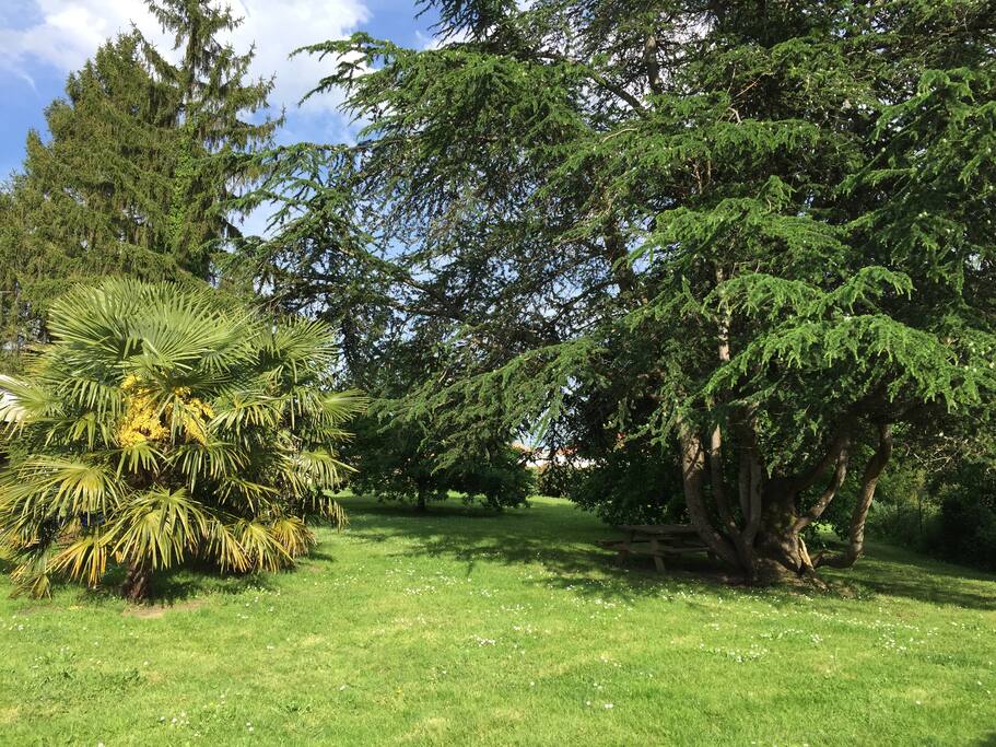 jardin arboré