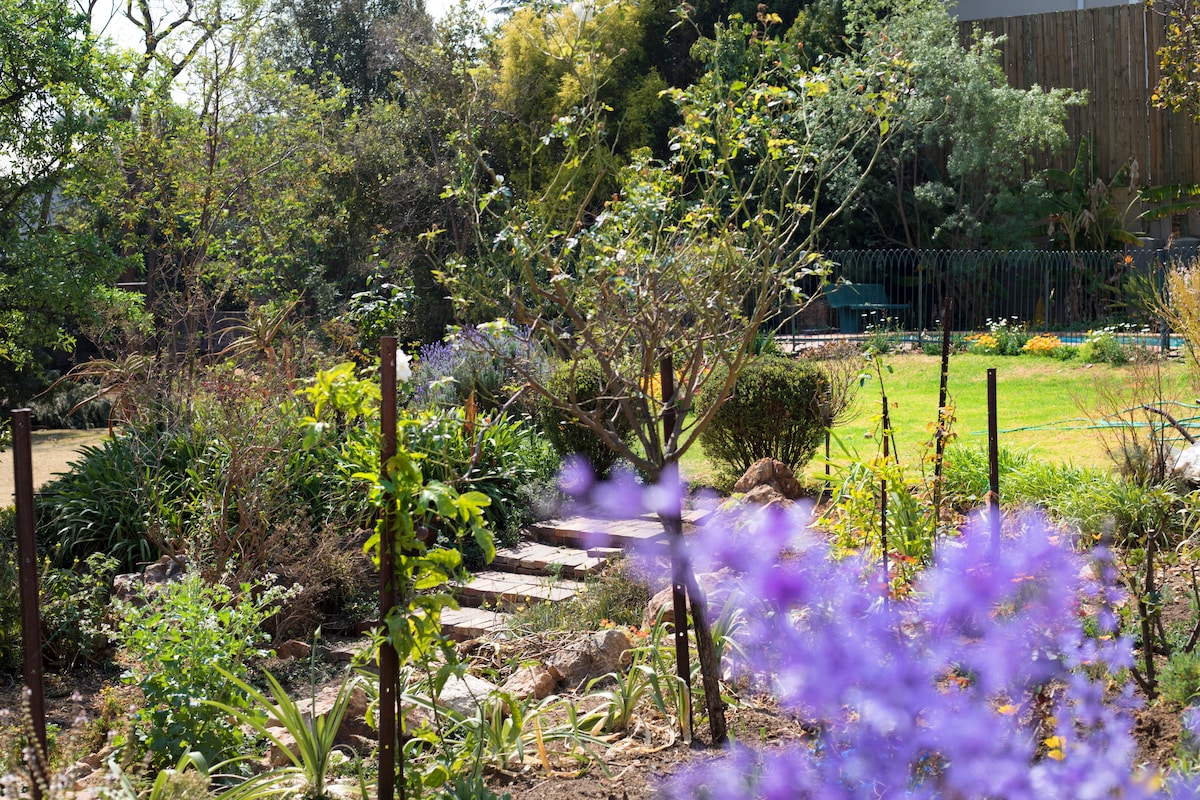 A vibrant garden path is bordered by various plants and flowers, leading towards a grassy area. Trees are visible in the background, framing the serene landscape, while purple blooms in the foreground add a pop of color to the peaceful outdoor setting.