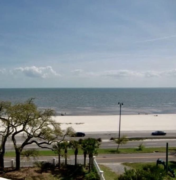 Great Views of the MS Gulf