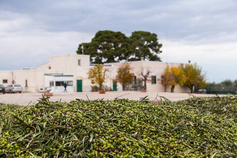 Country House La Spineta