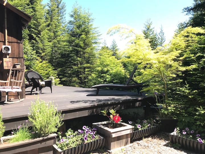 14 Best Airbnbs In Fort Bragg, California Updated 2024 Trip101