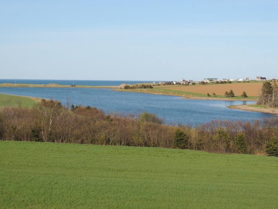 View from the deck