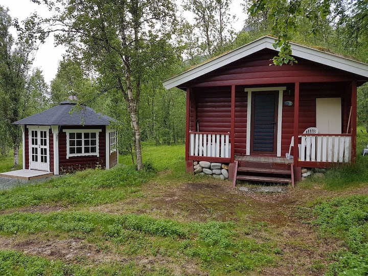 Image 1