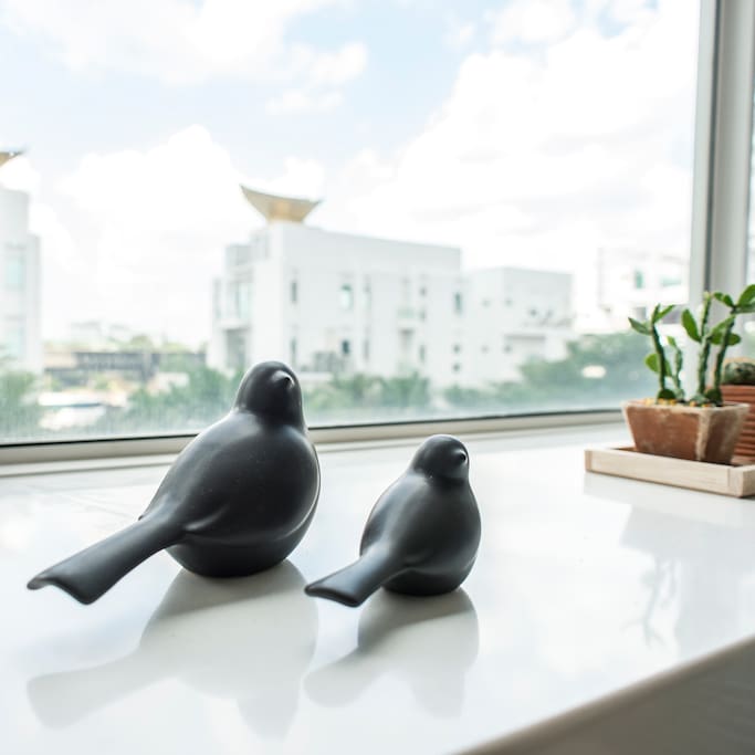 Blackbirds sitting on the windowsill