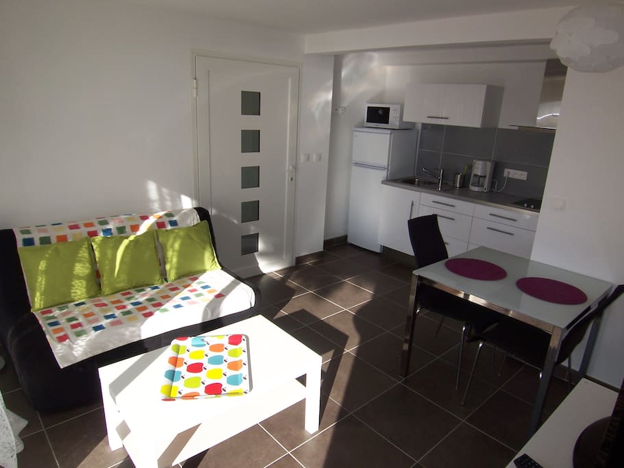 Salon avec cuisine intégrée