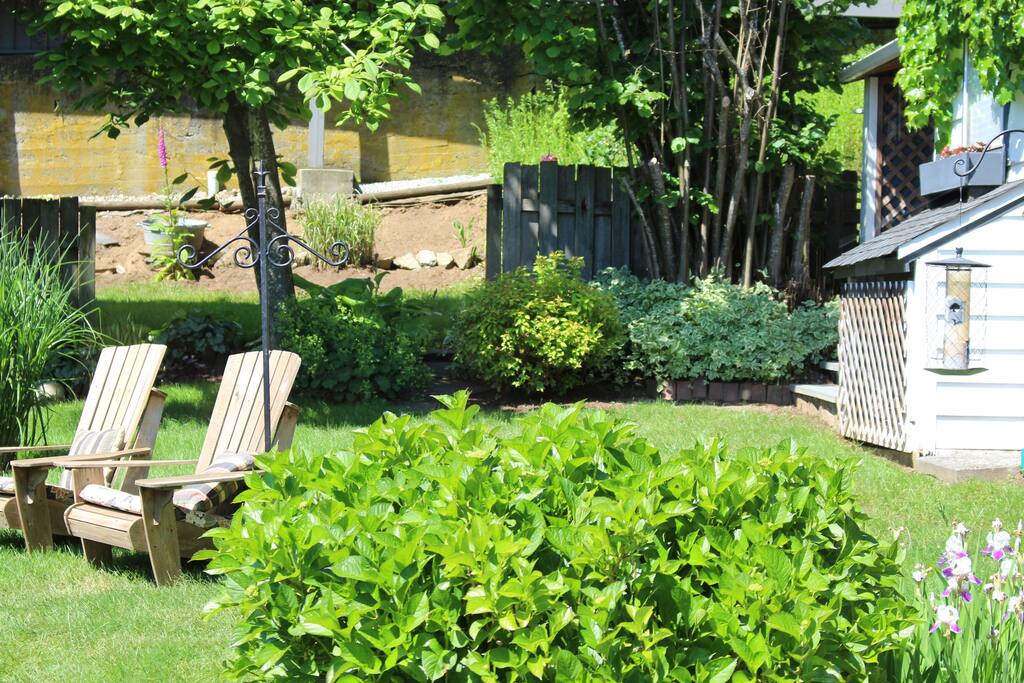Back yard tranquility