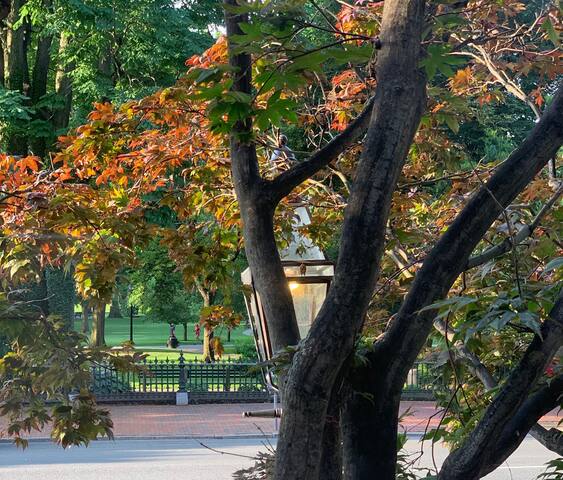 Stunning Beacon Hill Boston Townhouse Apartment gallery image 3
