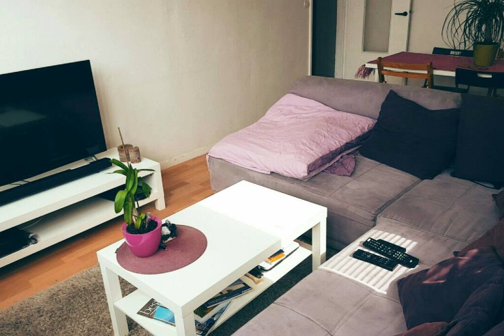 espace salon et sale à manger