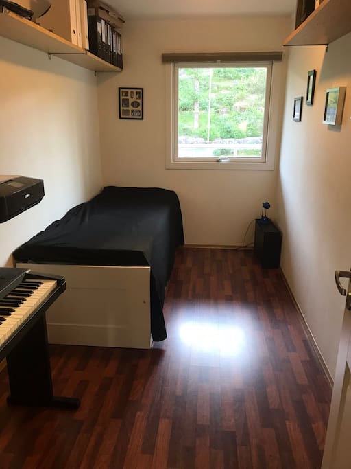 This is the room. The bed is double
