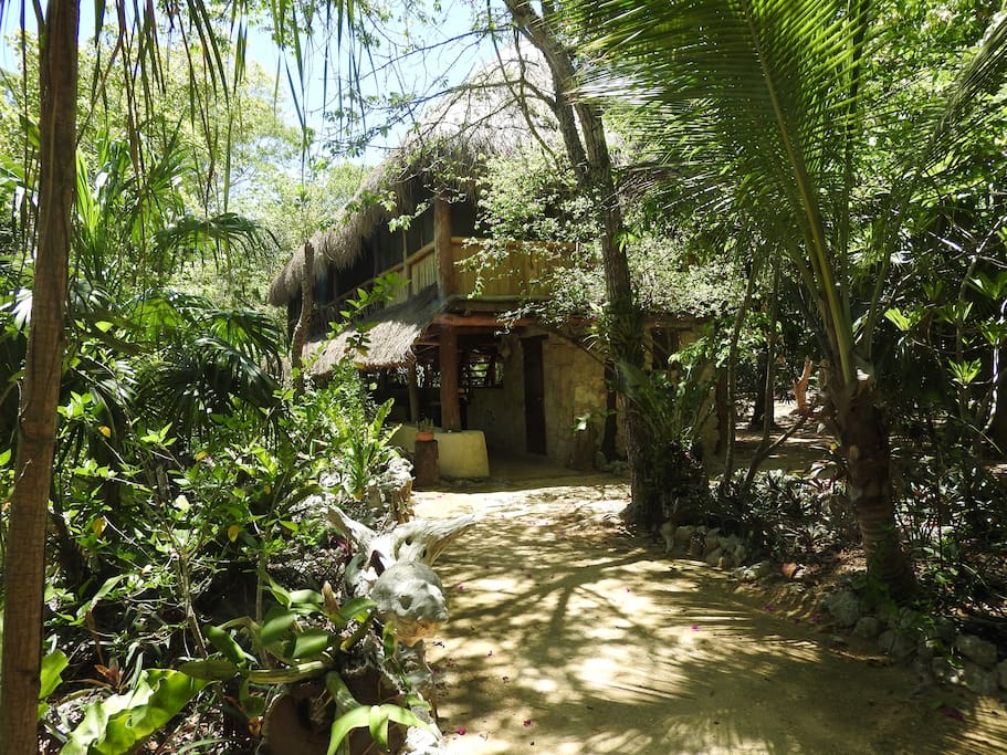 Palapa Entrance
