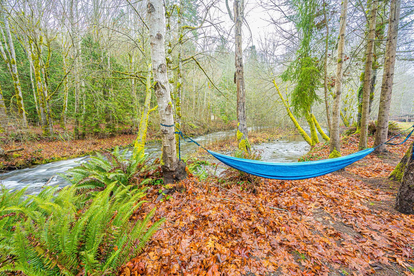 Rivers Edge:river side tiny home photo 7