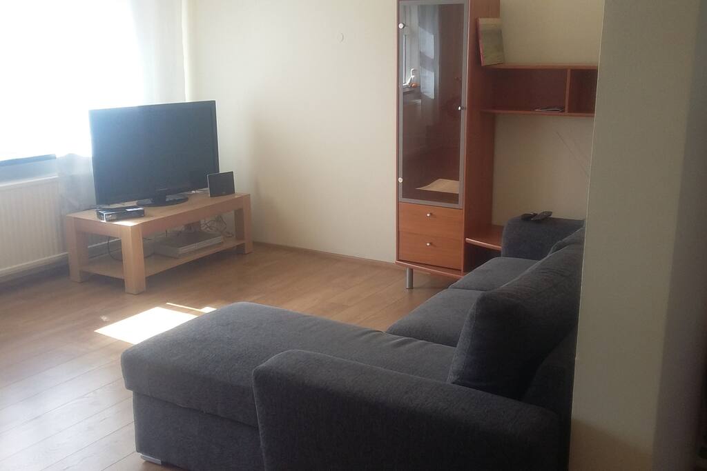 Living room with a futon that 2 persons can sleep in
