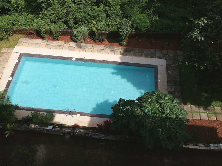 Well maintained swimming pool,again view from bedroom.