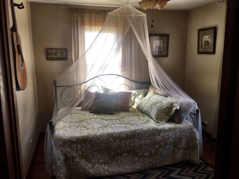 Serene Daybed