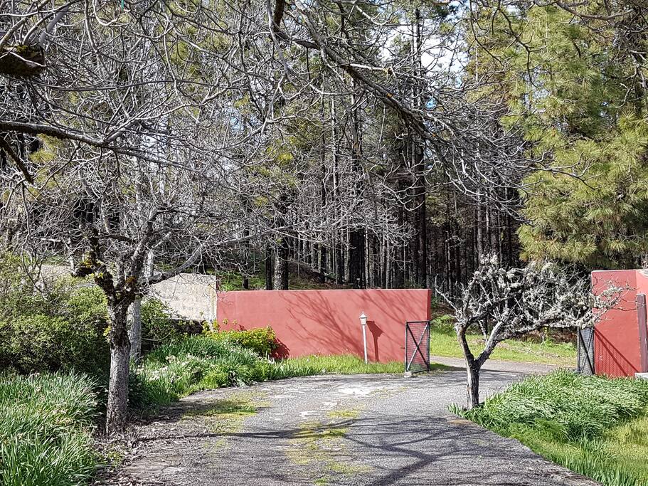 Acceso a la finca