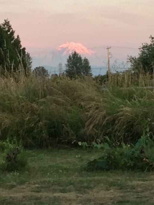 Mt. Rainier changes color constantly.