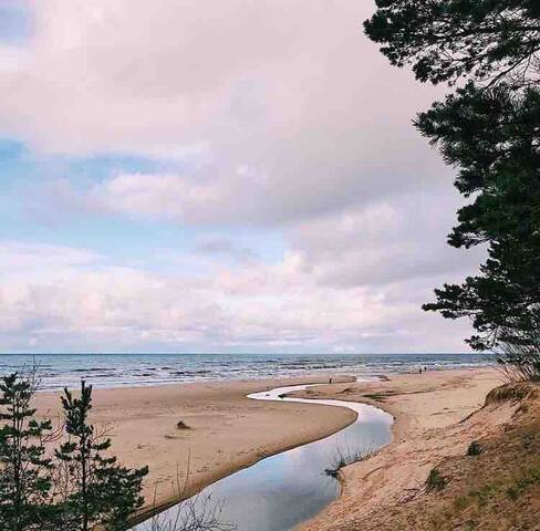 Сосновый лес, море, рядом с городом.