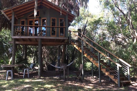 Treehouse in the woods