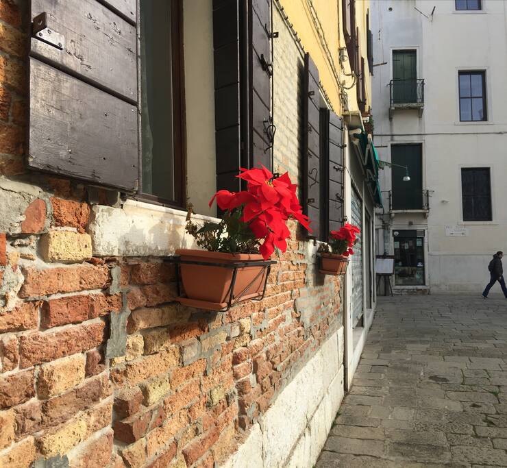 affaccio sul campo