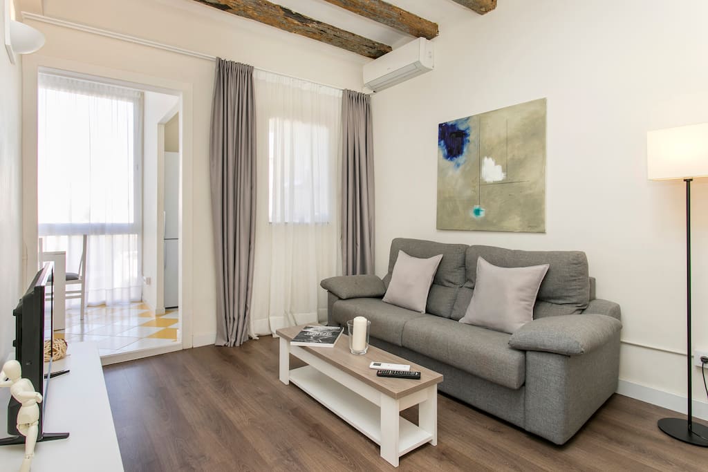 Cozy living room with sofa bed and flat TV