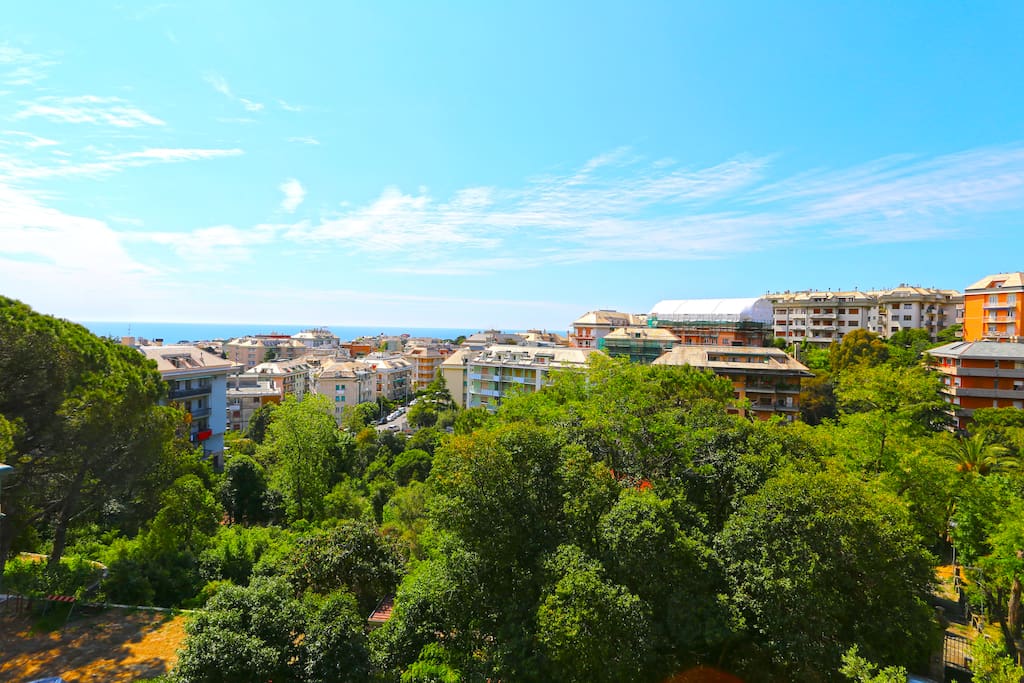 View from the balcony