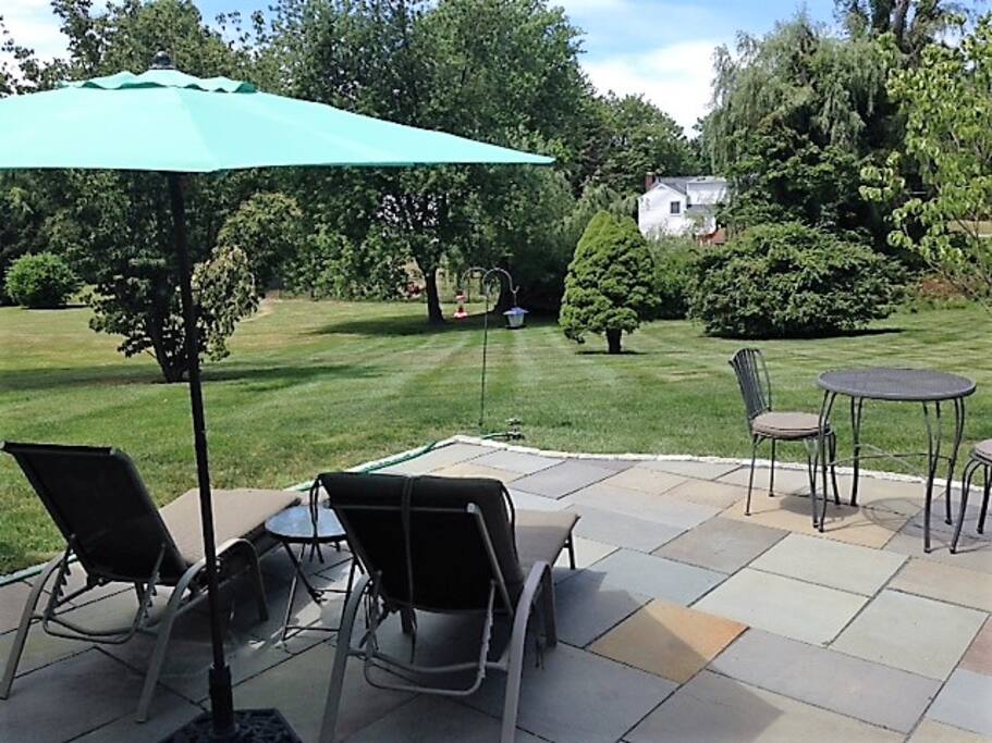 Back Patio