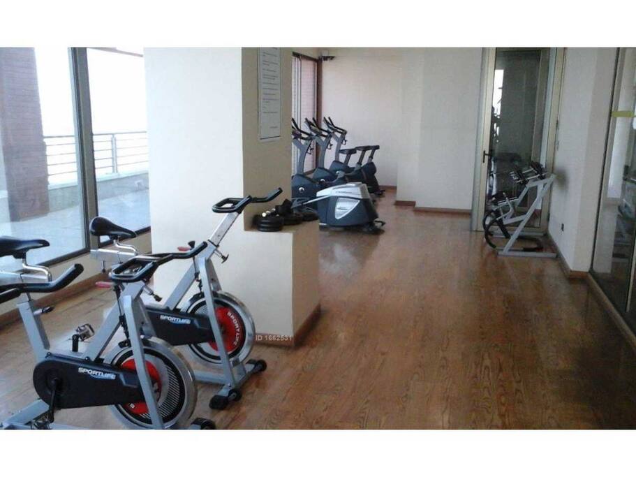 Gimnasio