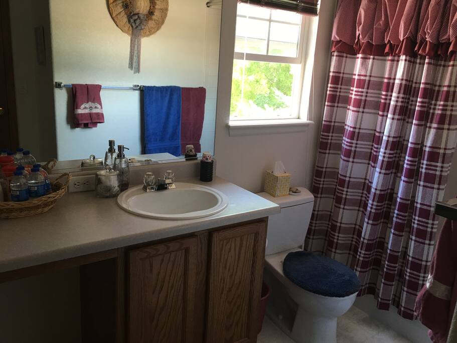 Large bathroom