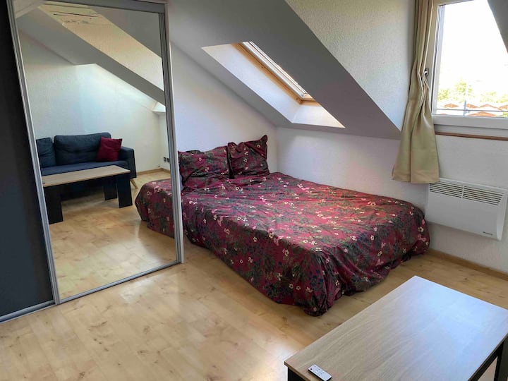 Annemasse Vacation Rentals & Homes AuvergneRhôneAlpes, France Airbnb