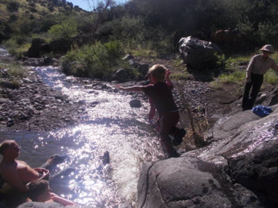 Black Jack Creek just below the house