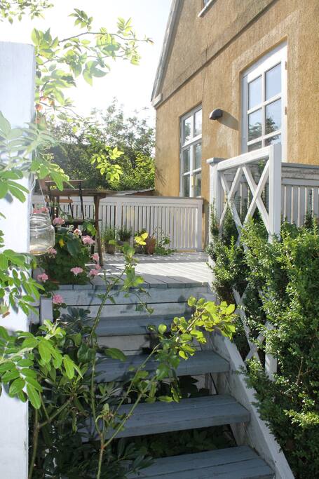 Exit to the veranda and garden from the kitchen