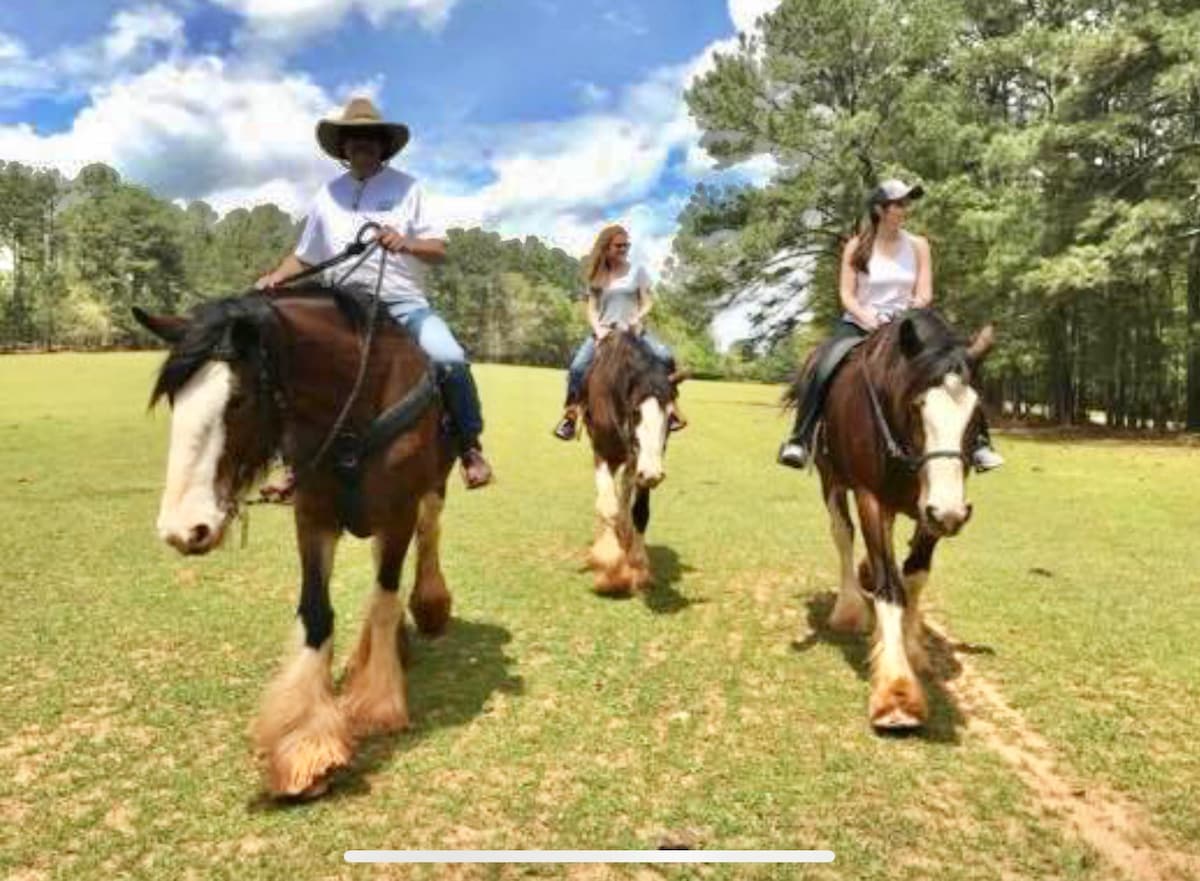 The Lodge located at Classic City Clydesdales - Farm stays for