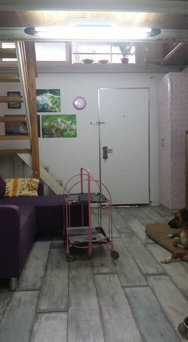 living room, plus entrance (this is a ground floor apartment)