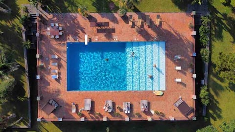 Citrus, between Etna and the Sea