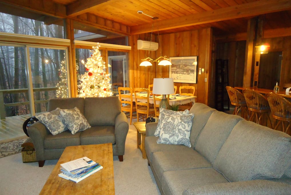 Comfortable Living Room with new furniture