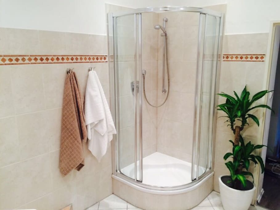 Geräumige Dusche im Badezimmer
